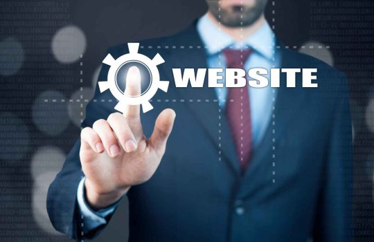 ada website consultant2